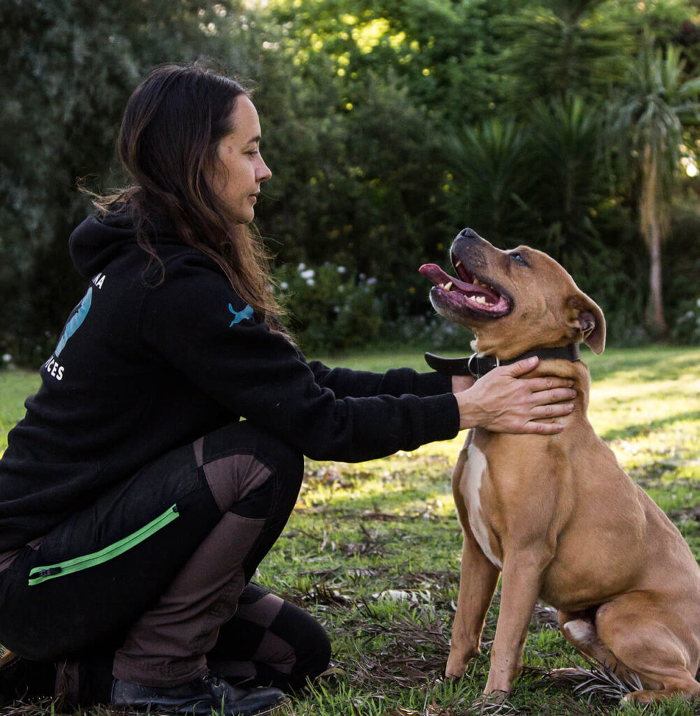 Customized Training & Dog Behaviour Consultation, image of rachel training a dog in the park