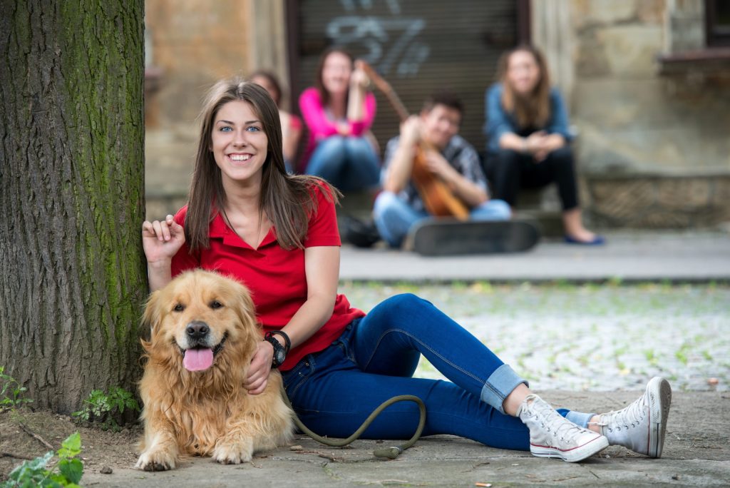 Personalised dog training solutions